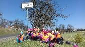 2018-04-11 ?ist Vyso?ina